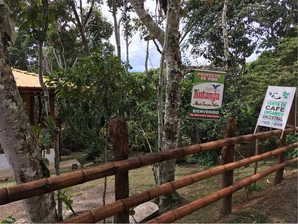 Coffee Farm Don Gumer - Organic Coffee