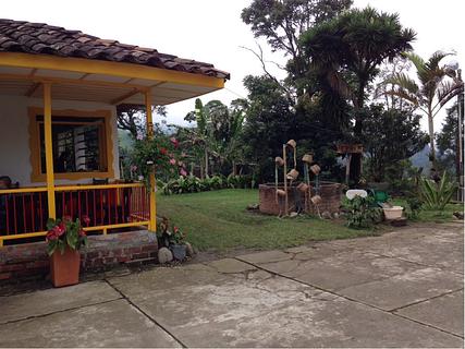 Coffee Tour. Finca Buenos Aires