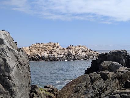Colônia de leões-marinhos e ótimo local para acampar