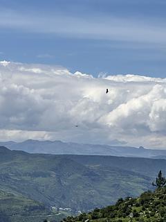 Condor Viewpoint