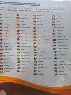 Controle de Frutas somente sentido oeste