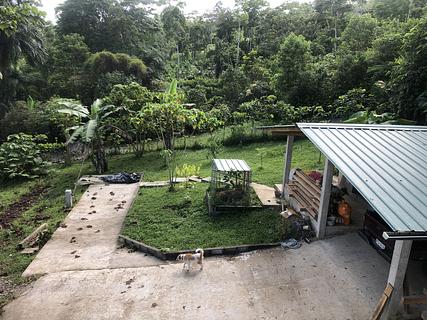 Coral Tree Lodge