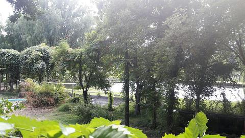 Coto de pesca Tunuyan
