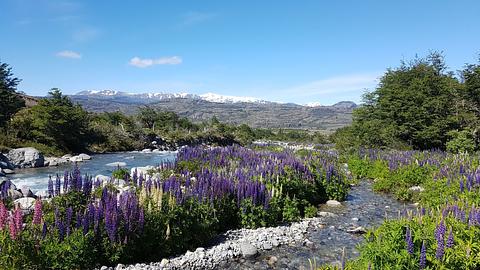 Creekside Camp