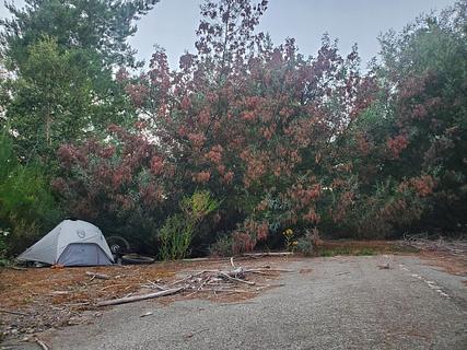 Cyclist Hidden Wild Camp