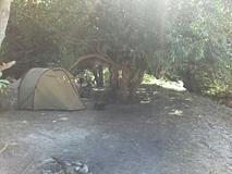 Daves Wild Camp 2