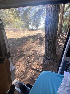 Debajo de los arboles