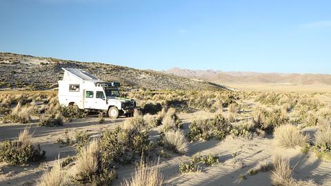 Desert. Roadside
