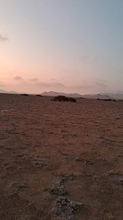 desert spot