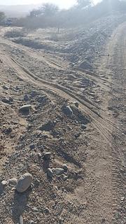 Deserto plano e calmo a 200m da estrada