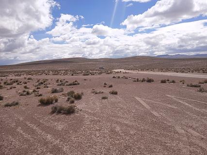 deserto