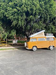 Dogs Park