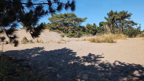 Dunas de Ritoque