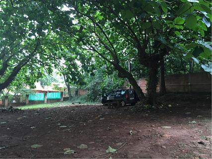 El Coati Camping