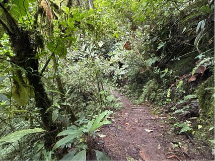 El Pahuma reserve