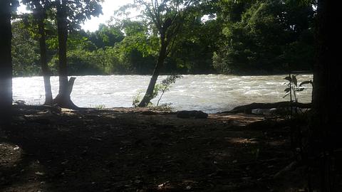 El silencio next to rio