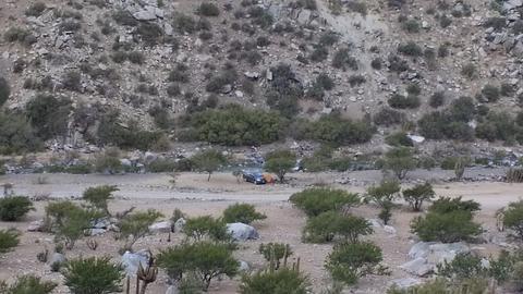 Endesa Bridge