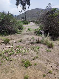 Entre as encostas, para barracas