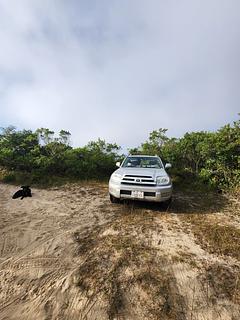 Esconder Puxar em direção à praia