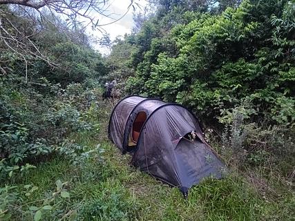 Escondido à beira da estrada