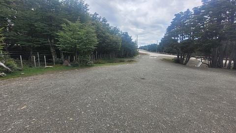 Estacionamento de cascalho ao lado da floresta