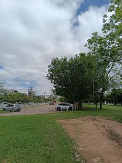 estacionamento grátis ao lado do parque