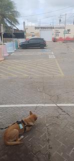 Estacionamento público