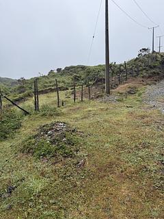 Estacionamento de van à beira do lago