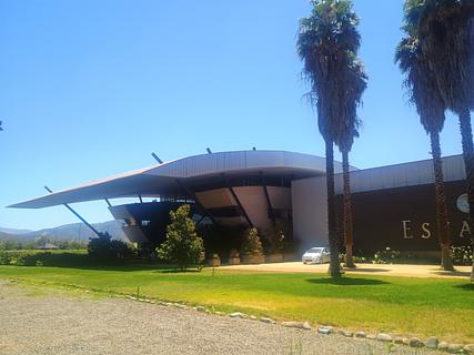 Estampa vineyard