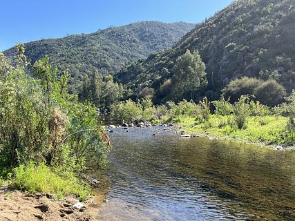 Estero Pangue