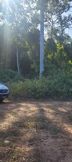 Estrada PN Calilegua