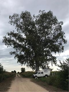 Estrada rural