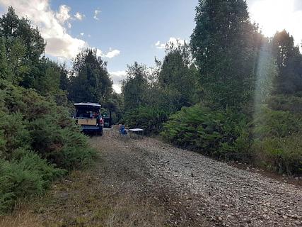 Estrada sem saída na floresta