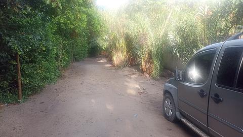 estrada tranquila