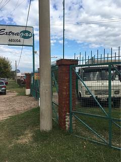 Extragas