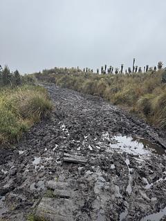 Extreme Mud