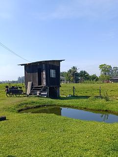 Camping - Família Vida Positiva