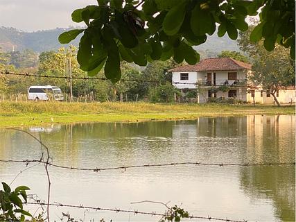 Farm camp
