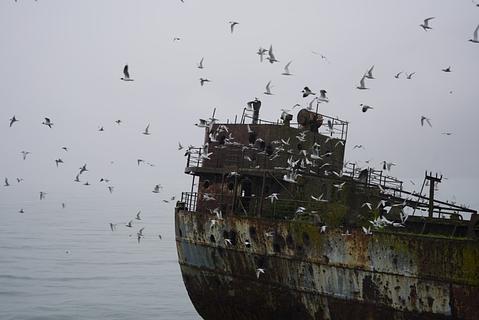 Ferry Transbordadora Austral