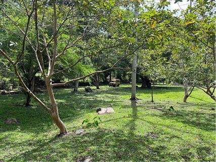 Finca Agroturística