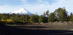 Flat Volcanic Grit Area