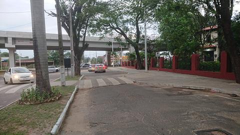 Fora do jardim botânico