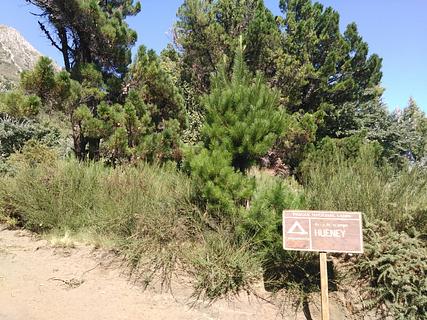Free Area De Acampe "Hueney"
