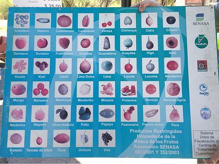 Fruit & Fumigation