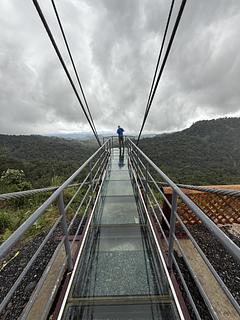 Glass Sky walk mirante com vista para a Amazônia