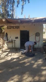 Gomeria