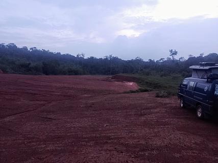Grande espaço aberto na selva