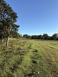 Grande terreno em frente à estância