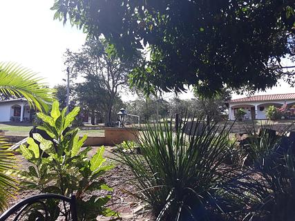 Granja Mbuni