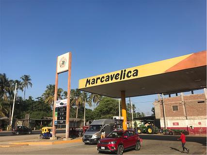 Grifo Marcarvelica